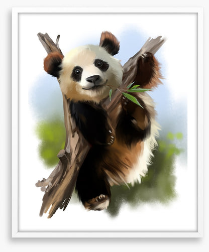 Little giant panda
