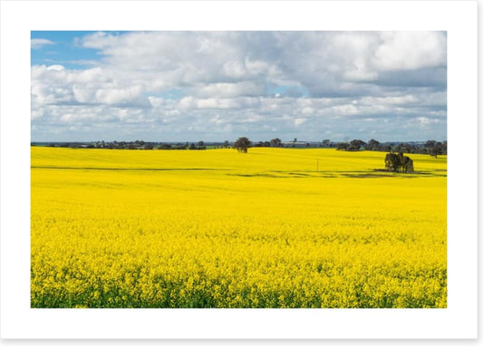 Agriculture