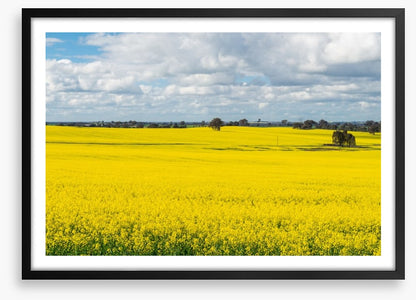 Agriculture
