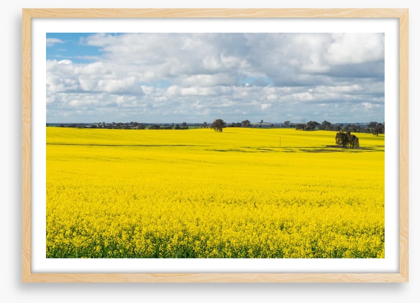 Agriculture