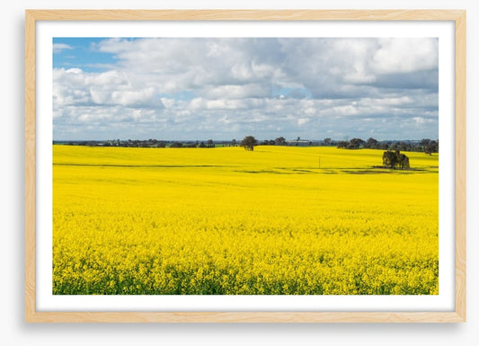 Agriculture