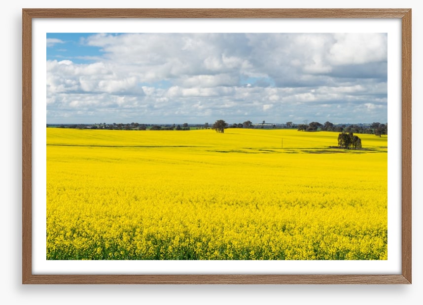 Agriculture