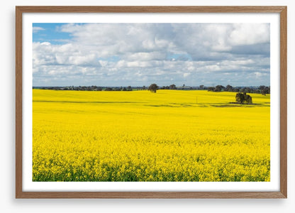 Agriculture