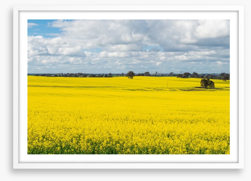 Agriculture
