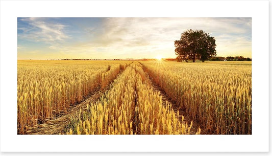 Agriculture