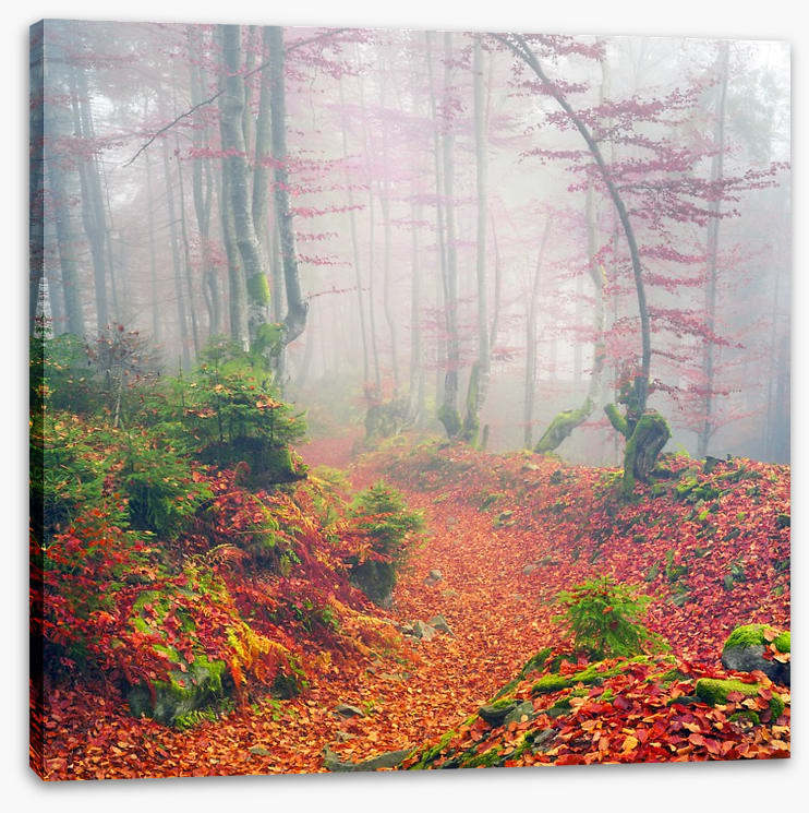 Deciduous dawn