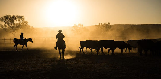 Mustering
