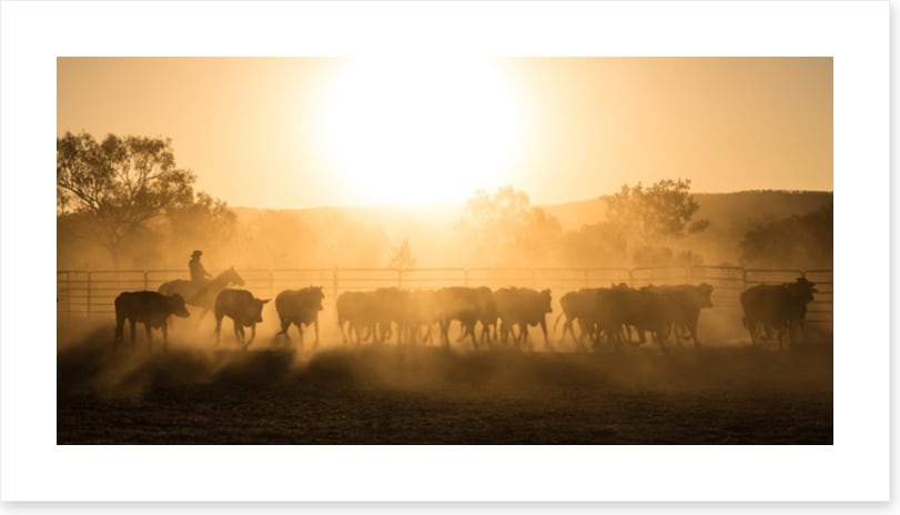 Mustering the mob