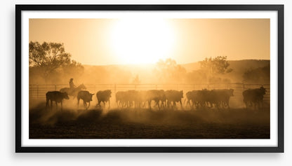 Mustering the mob