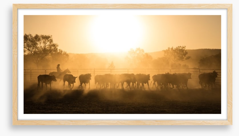 Mustering the mob