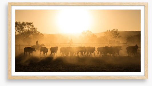 Mustering the mob