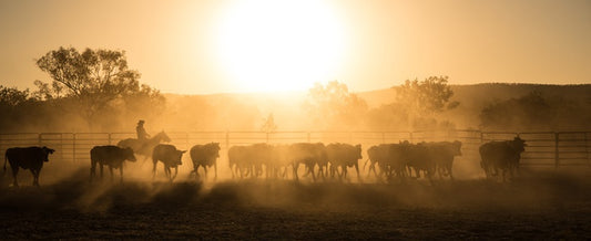 Mustering the mob