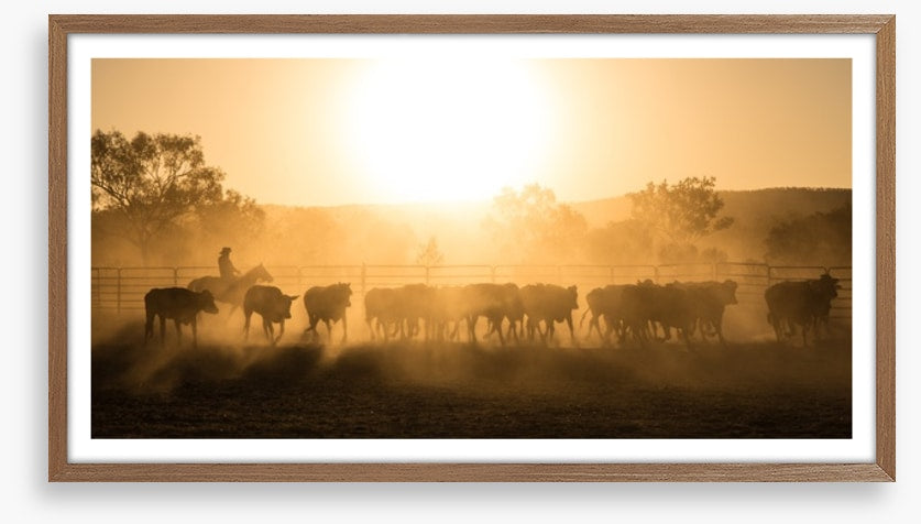 Mustering the mob