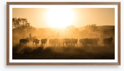 Mustering the mob