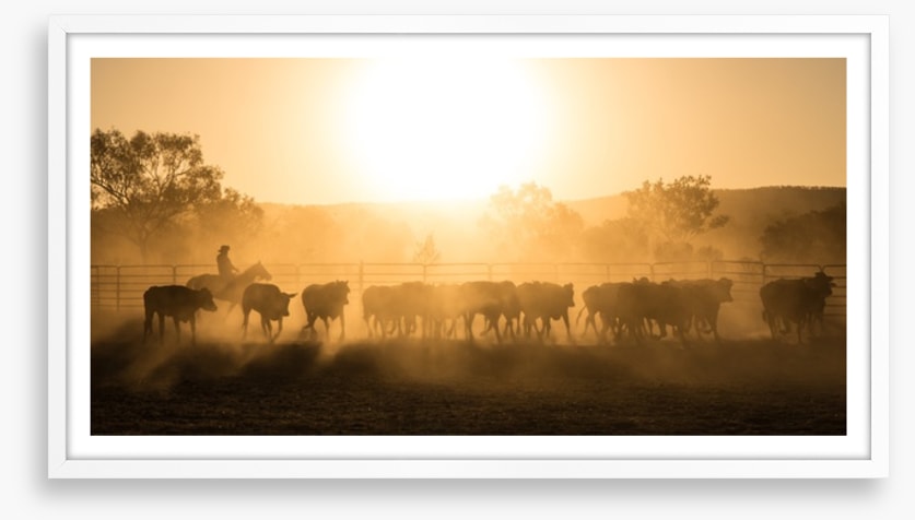 Mustering the mob