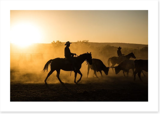 Mustering in the Kimberley