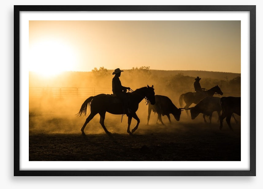 Mustering in the Kimberley