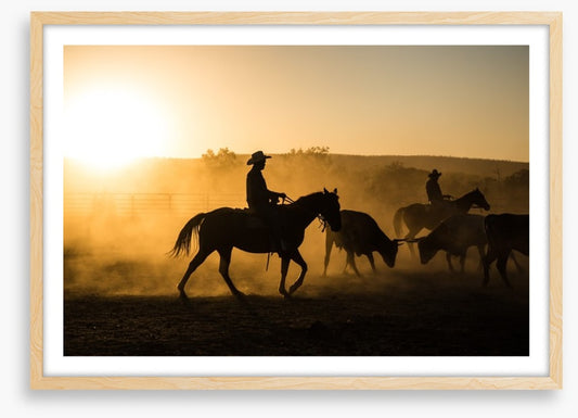 Mustering in the Kimberley