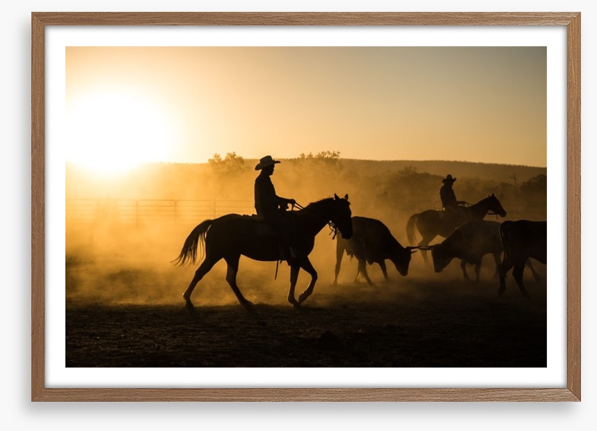 Mustering in the Kimberley