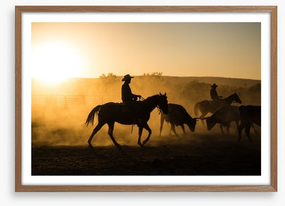 Mustering in the Kimberley