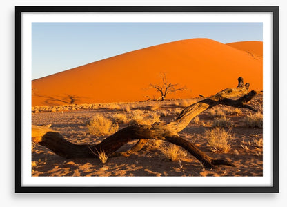 Desert