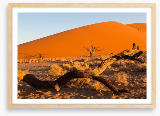 Desert