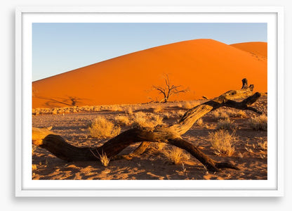 Desert