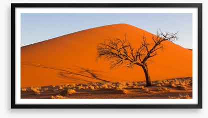 Desert