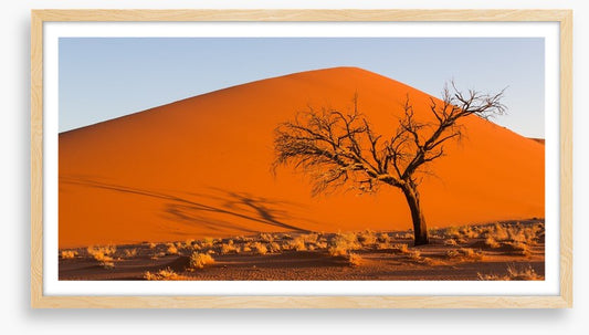 Desert