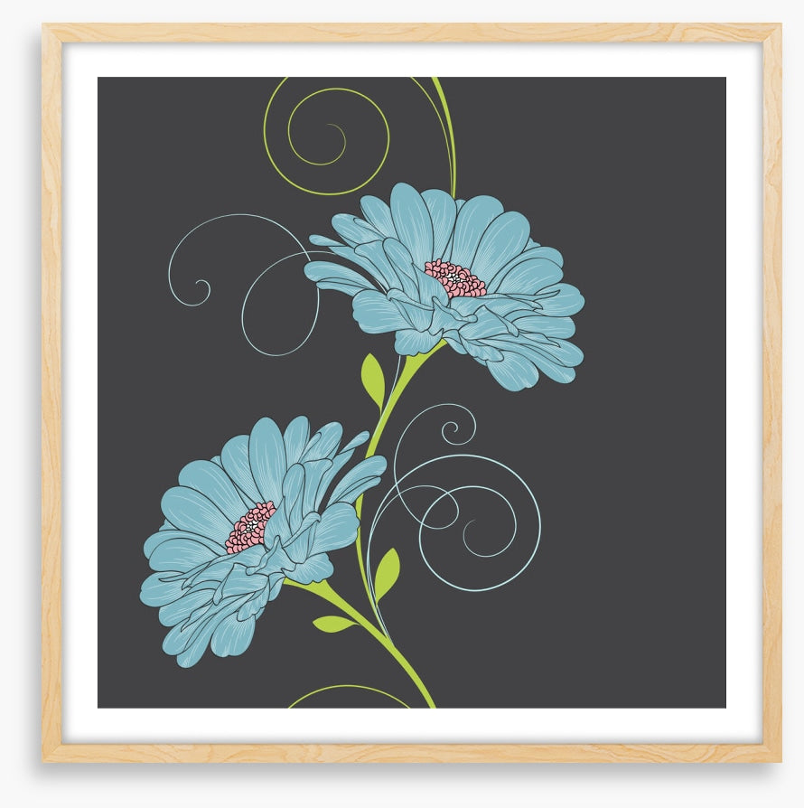 Chamomile curls II