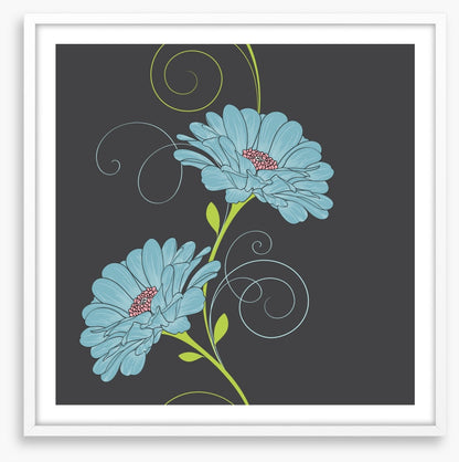 Chamomile curls II