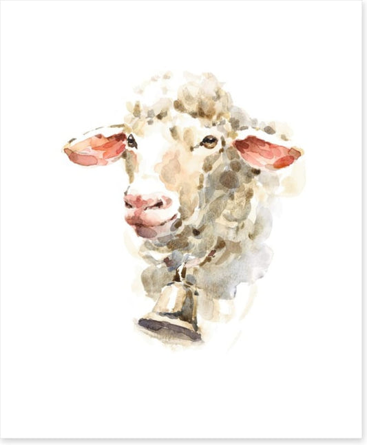 Sally the sheep