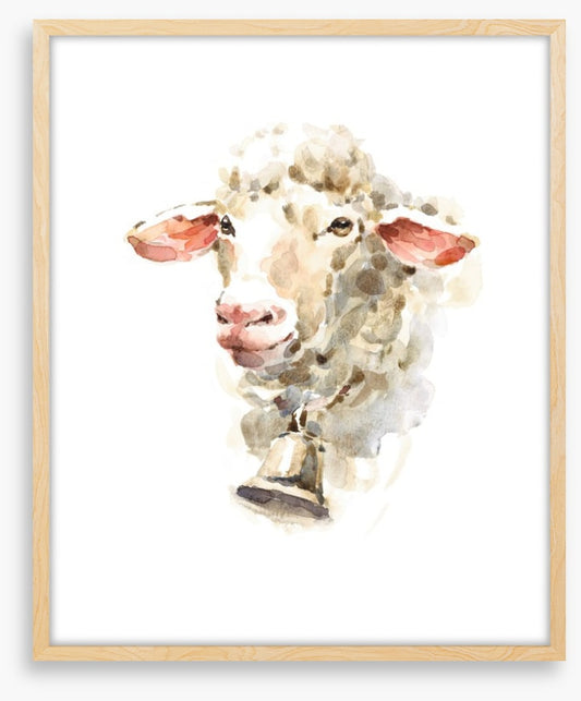 Sally the sheep