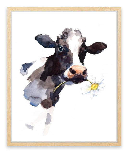 Daisy the cow
