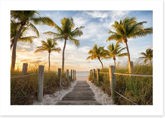 Palms to the beach