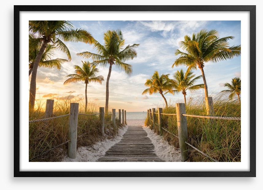Palms to the beach