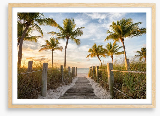 Palms to the beach
