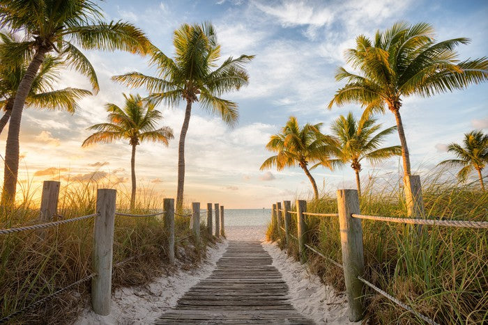 Palms to the beach
