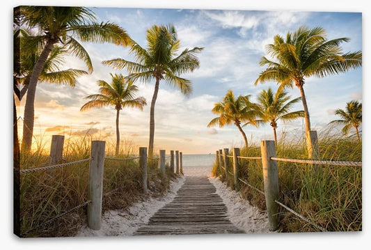 Palms to the beach