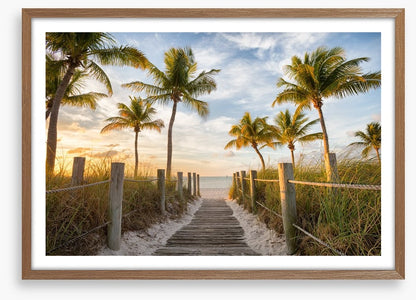 Palms to the beach