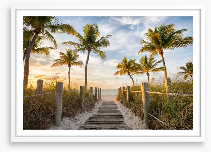 Palms to the beach