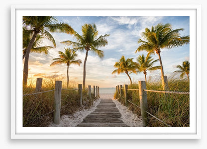 Palms to the beach