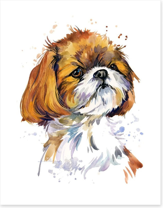 Shih tzu pup