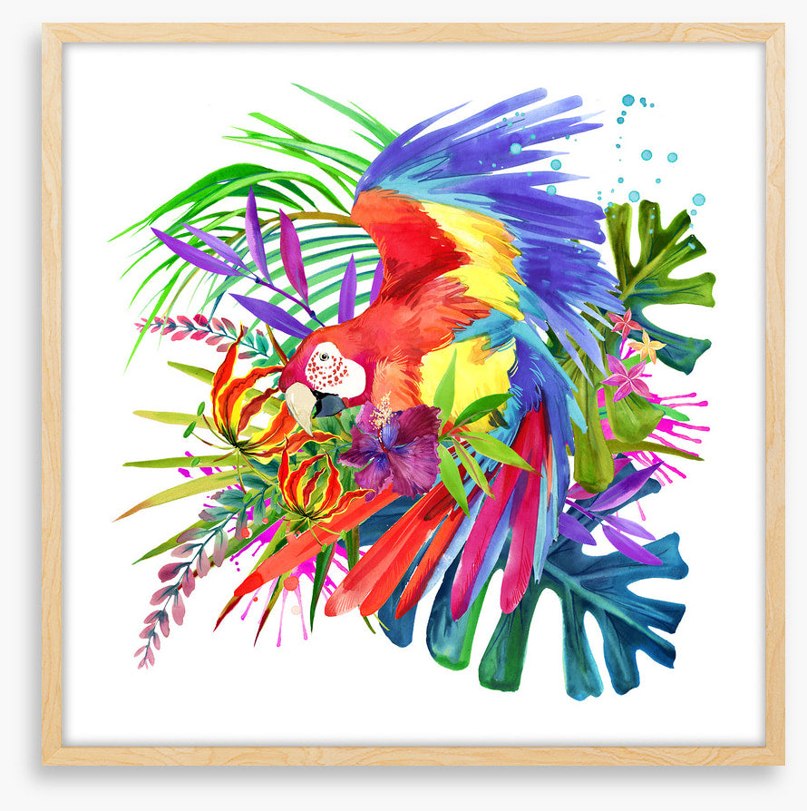 Paradise bloom parrot I