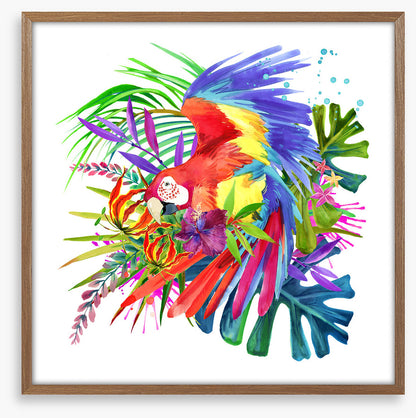 Paradise bloom parrot I