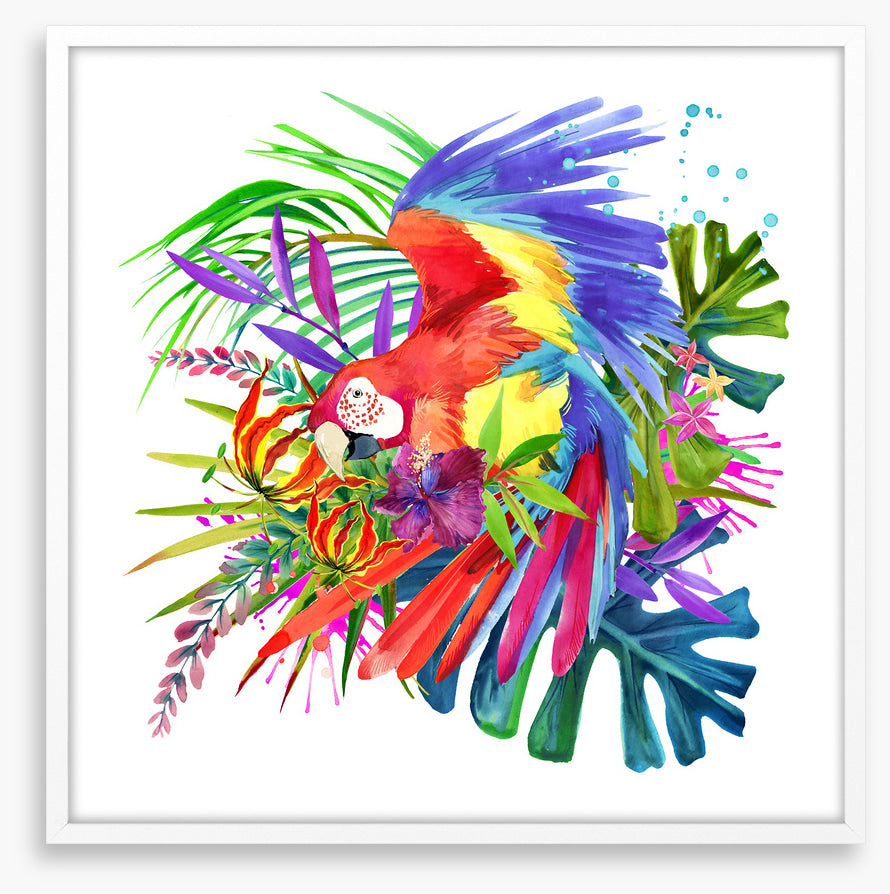 Paradise bloom parrot I