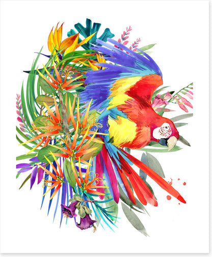 Paradise bloom parrot II