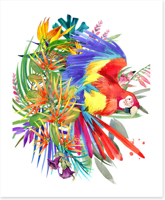 Paradise bloom parrot II