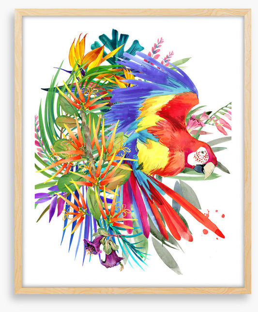 Paradise bloom parrot II