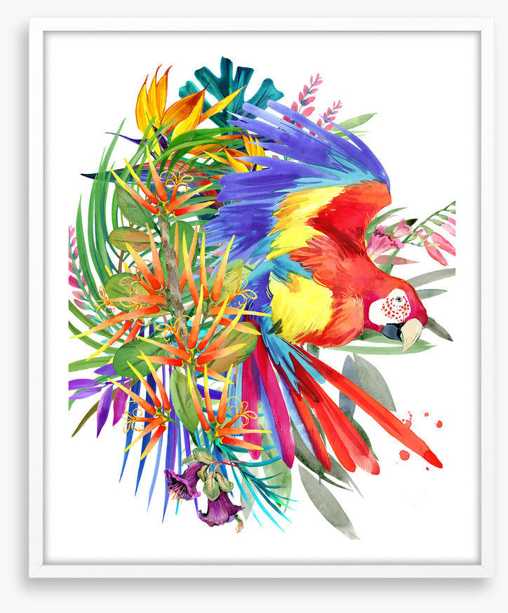Paradise bloom parrot II